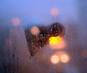 trockene Heizungsluft Luftfeuchtigkeit Luftbefeuchter beschlagene Fenster