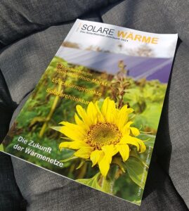 Solarthermie-Jahrbuch 2021
