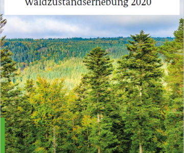 Krankenakte der deutschen Wälder Waldzustandserhebung 2020