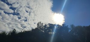 Solarturbo_zuenden_BSW_Solar