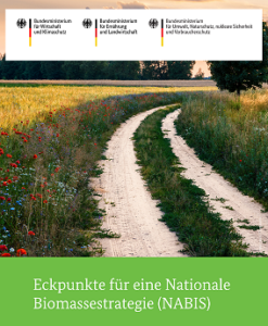 Nationale Biomassestrategie NABIS