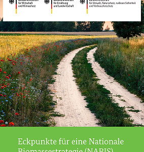 Nationale Biomassestrategie NABIS