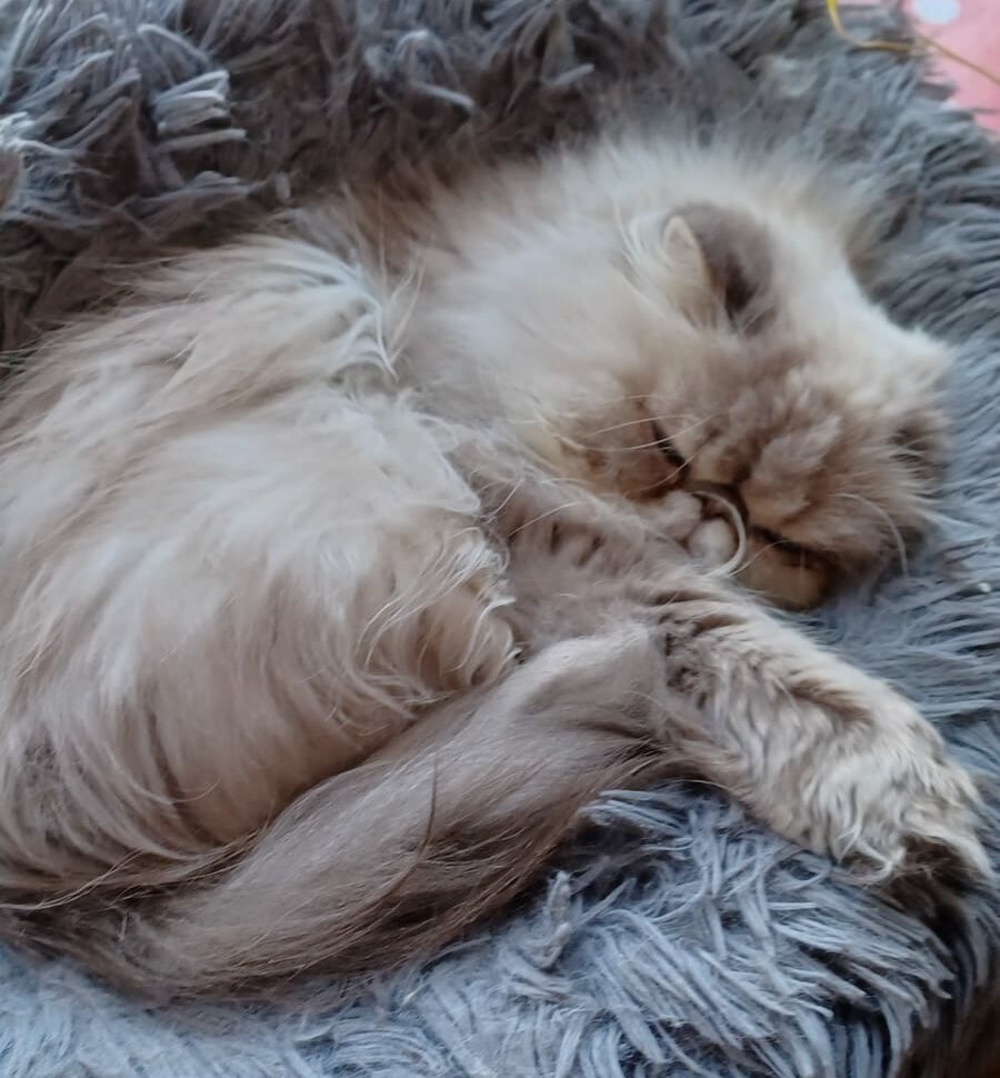 Was ist thermische Behaglichkeit?