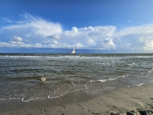 Umweltbewusstseinsstudie 2022