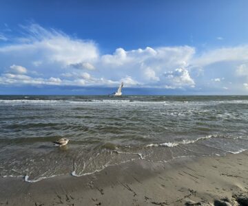 Umweltbewusstseinsstudie 2022