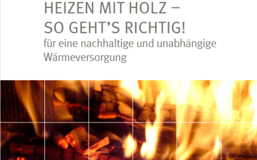 Richtig heizen mit Holz - Broschüre FNR Titel