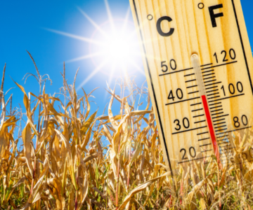 1,5-Grad-Klimaziel Erderhitzung - eine Bilanz 2024.jpeg