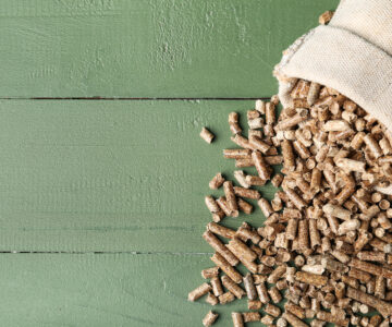 Pelletheizung sinnvoll
