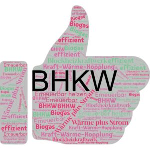 BHKW_Erneuerbar heizen mit BHK