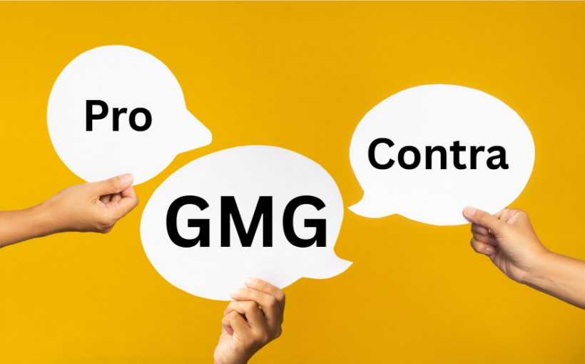 GMG Pro Contra